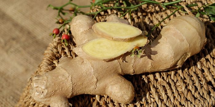 Ginger's Role in Gut Health & Its Downstream Impact on Obesity