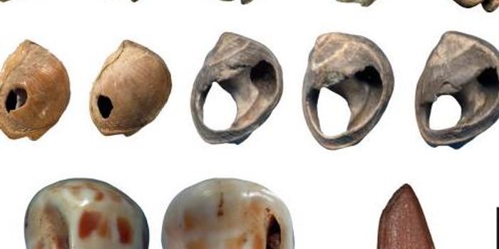 Humans Didn't Arise From One African Group, but Many