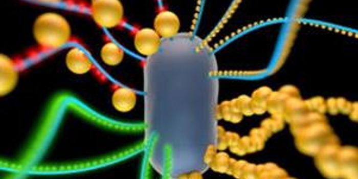 MIT Engineers Design Functional Living Materials 