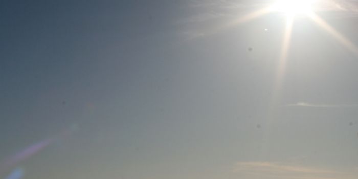 Low Vitamin D Levels are Linked to a Lack of Gut Microbiome Diversity