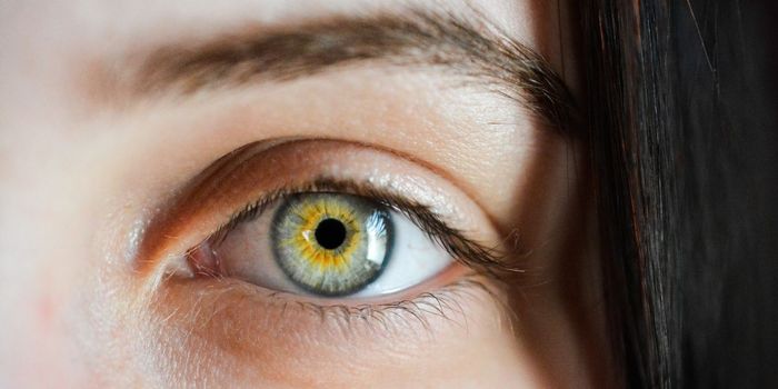 Could Eye-tracking Data Detect THC Levels?