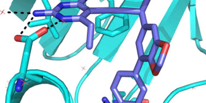 Scientists Find an Effective new way to Target MRSA