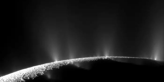 Enceladus Plumes: Evidence for Life or Surface Chemistry?