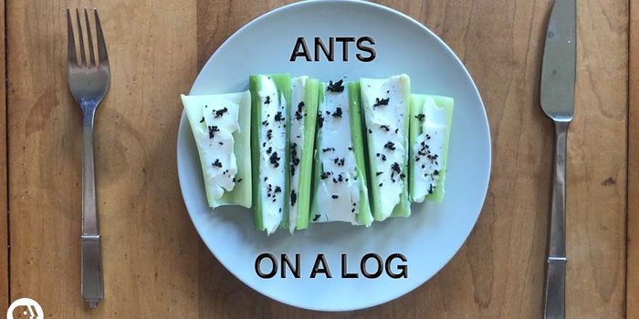 Should You Integrate Bugs Into Your Diet?