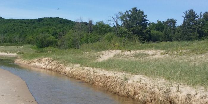 Huge, Limit-Defying Native Agriculture Site is Discovered in Michigan