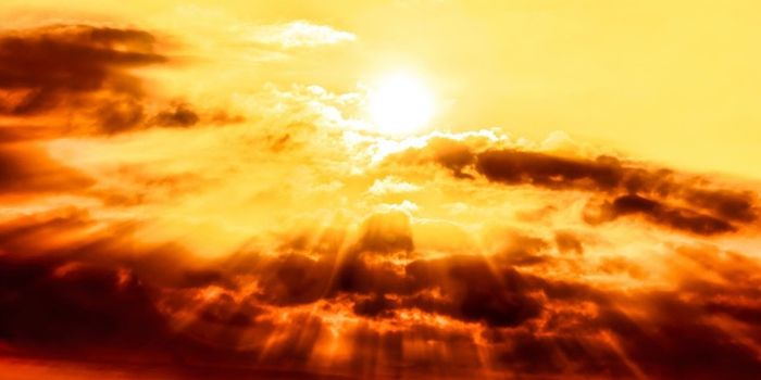 How the Sun's Rays Damage the Skin