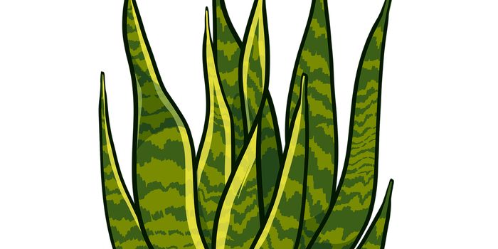 Lignans, a plant-based compound, may have protective effects against type 2 diabetes