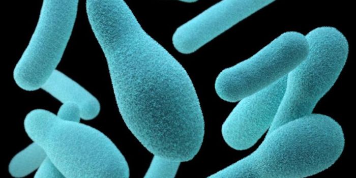 An Antibiotic May be Able to Reduce Inflammatory Pain