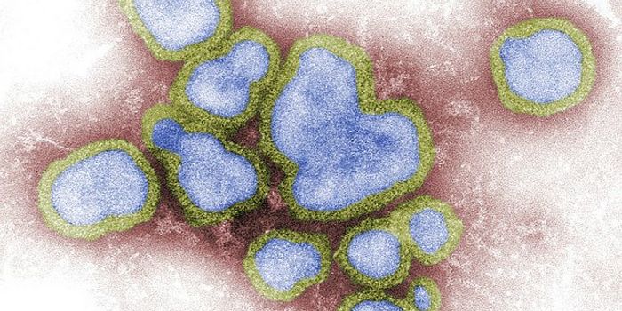 The 24 hour Flu-Killing Drug