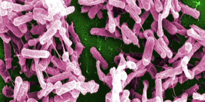 Understanding & Improving Fecal Microbiota Transplants