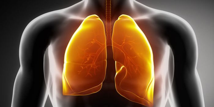 Isolating The Source of Interleukin-25 In Common Respiratory Disorders