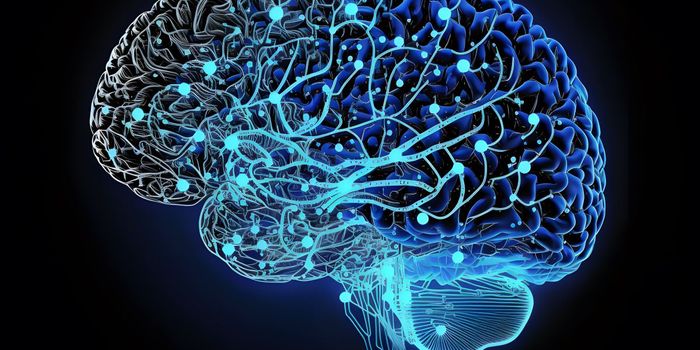 Monitoring Brain Organoid Differentiation and Development Leveraging Live-Cell Imaging and Cytometry