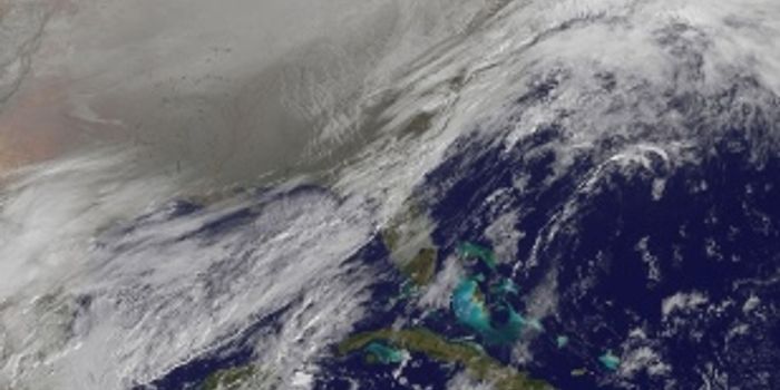 Less Red Meat, Less Climate Change 