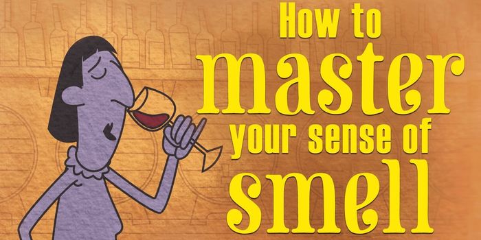 Can You Master Your Sense of Smell?