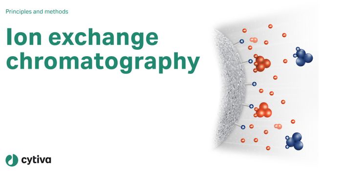 Simplified guide to ion exchange chromatography