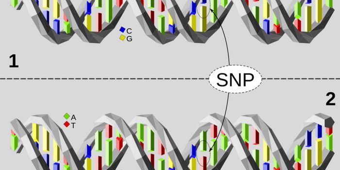 Risk Allele Variant SNP at 14q11.2 Linked to ALL