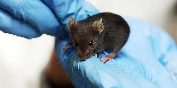 Where Does Violence Begin?