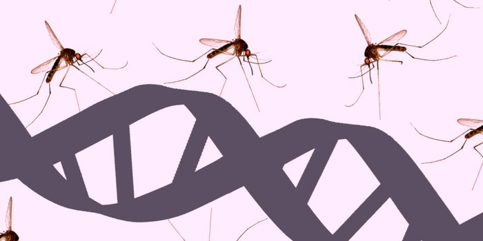 Gene Drive Technology Gets Prudent Stamp of Approval