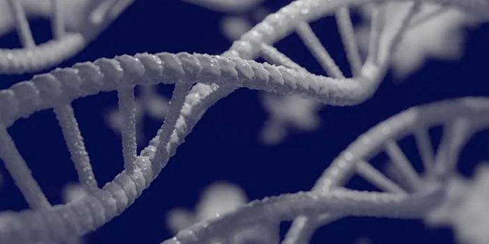 Mouse Fathers Passed Immunity Onto Offpsring After Infection