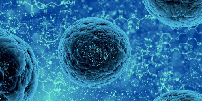 Study Suggests that Terminally Exhausted T cells can be Rejuvenated