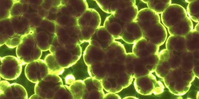 Is There a Blood Microbiome?