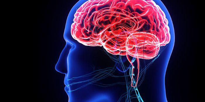 Dopamine Provided Targeted Therapy for Neuropsychiatric Disorders