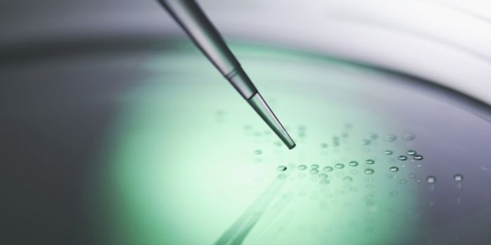 UCI, UCLA Awarded $8 Million CIRM Funding To Launch Collaborative Stem Cell Clinic