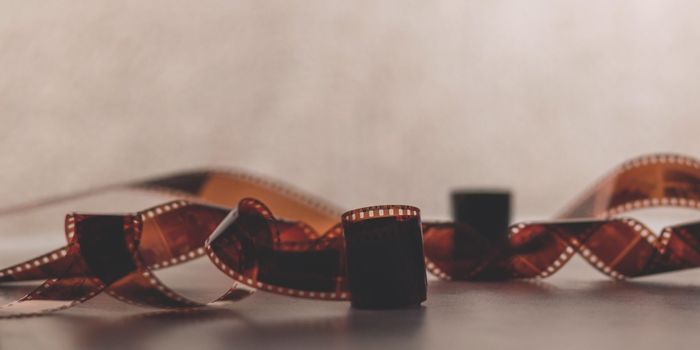 Persistent Signaling Drives Immune Cell Memory