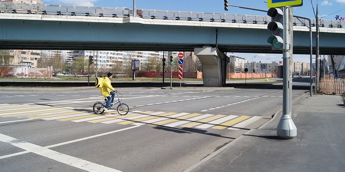 Extreme Isolation can Cause Physical Brain Changes