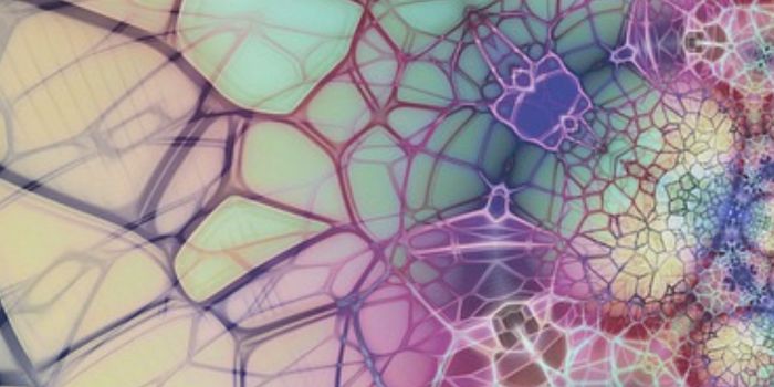 A Scoring System That Links Gut Microbiome Interactions & Disease