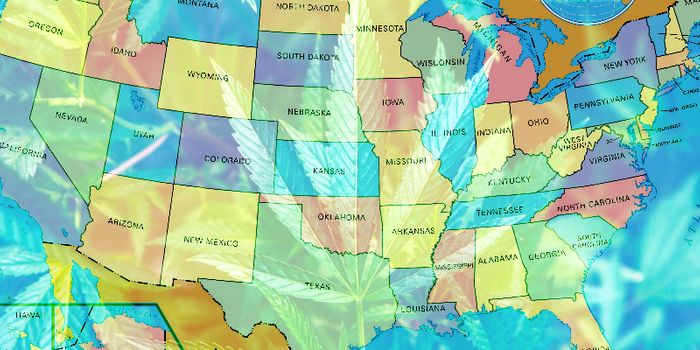 State to State: Reciprocity for Marijuana Cards Proves Challenging