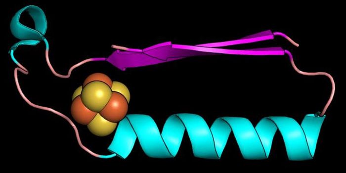 In Search of the Original Enzyme