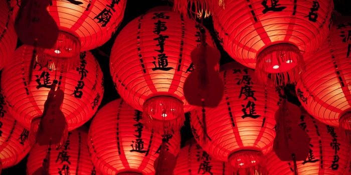 Does New Chinese Alzheimer's Drug Made from Seaweed Work?