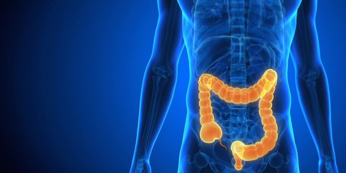 Common Fungus Might Exacerbate Bowel Disease in Some People