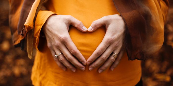 Endocannabinoids Block Pathogenic Bacteria That Cause Gut Ailments in Mouse Study