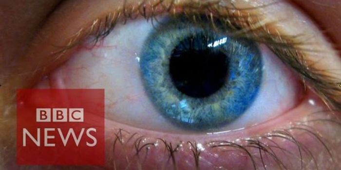 Stem Cells And Blindness