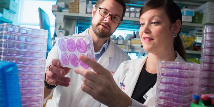 Cancer Drug Indirectly Reduces Influenza Viral Load