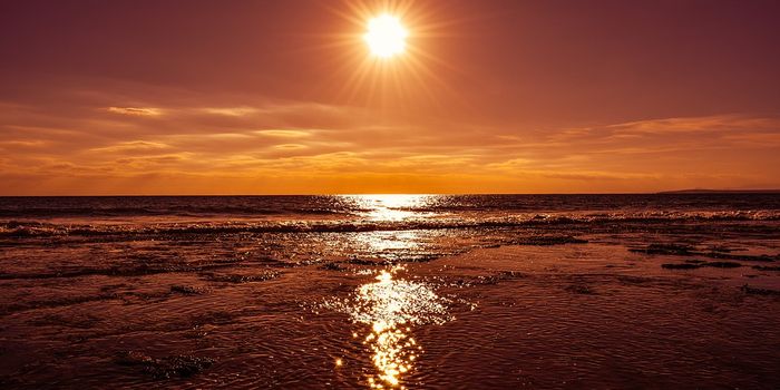 Vitamin D for Flexible Arteries