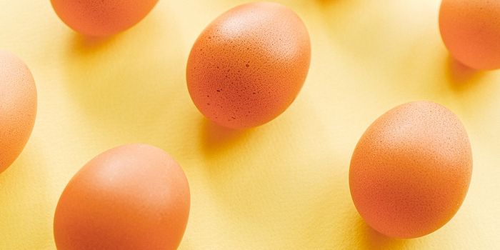 New Technique for Detecting Egg Allergies