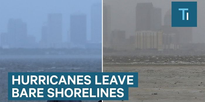 Hurricane Irma Sucked Waterways Dry in Florida