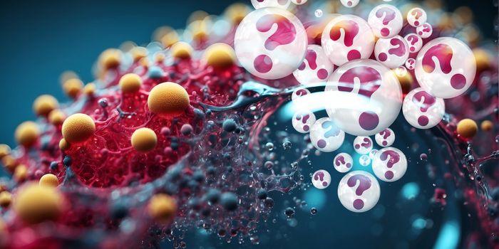 Immune Cell Organization is Indicative of Response to Disease