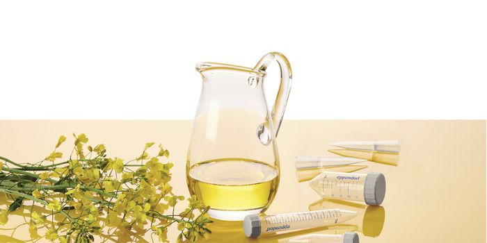 Bioplastic Explained: How Much Bio Can You Expect in Plastic