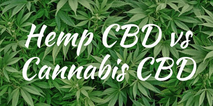 The Diferrence Between Hemp and Cannabis as a Medicine