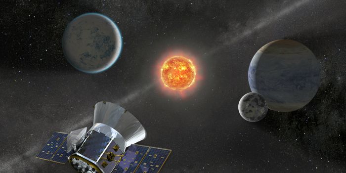 SpaceX Delays TESS Launch