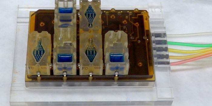 A Woman's Period Cycle, Replicated on a Microchip