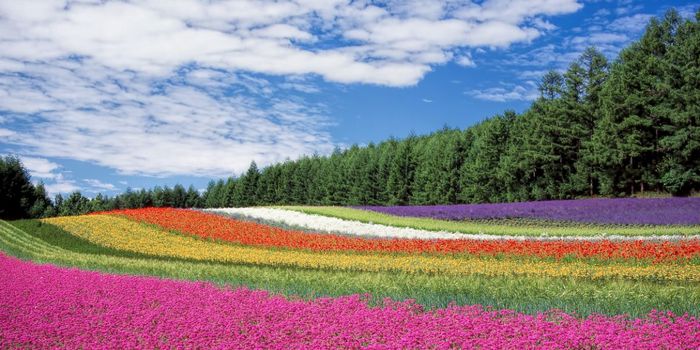 Spirituality Improves Patient Care and Health Outcomes