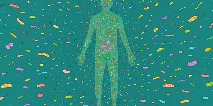 Gut microbes, in your lungs?