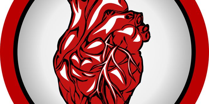 We Heart AI - AI's Impact in Cardiac Imaging
