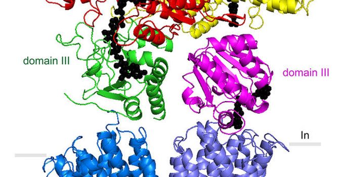 Scientists Use X-ray Vision to Probe Early Stages of DNA 'Photocopying'