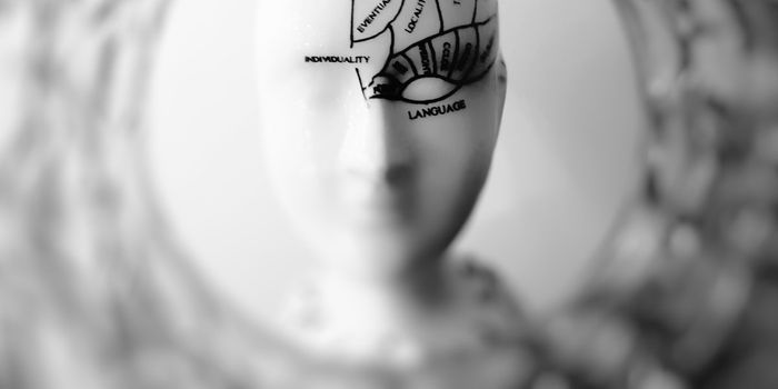 New Neural Implant Can Help Study Multiple Areas of the Brain at Once